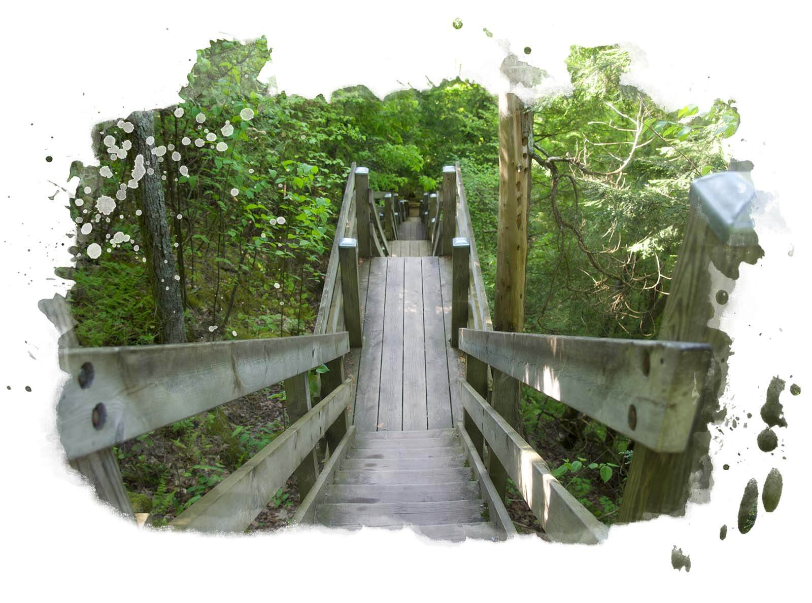 Wooden hiking path with stairs at Mountain Park Lookout Tower
