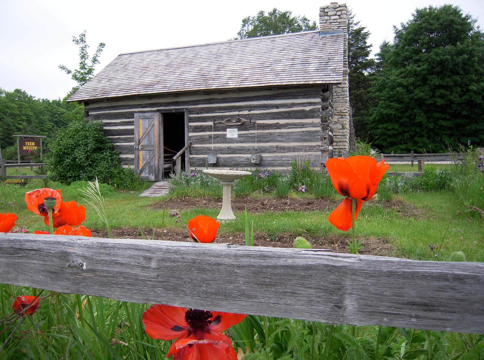 Red flowers outside old structure at the Farm Museum