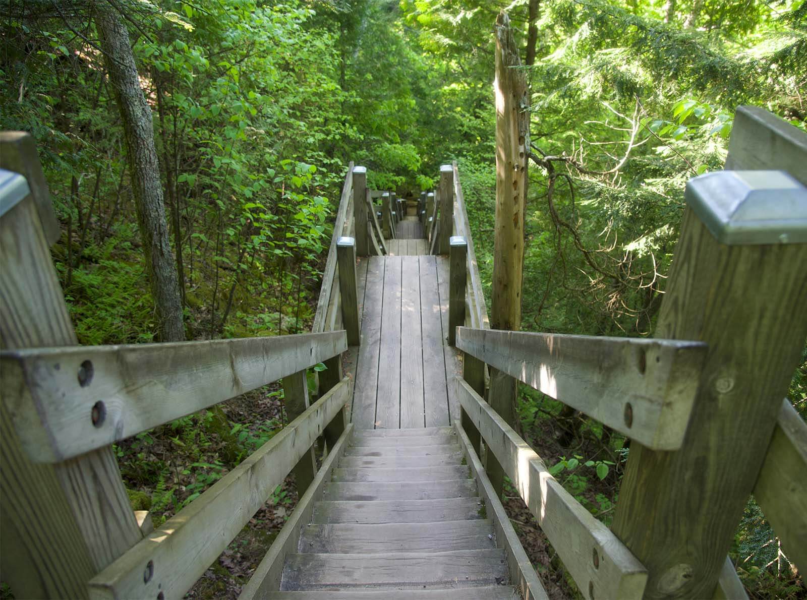 Wooden hiking path with stairs at Mountain Park Lookout Tower